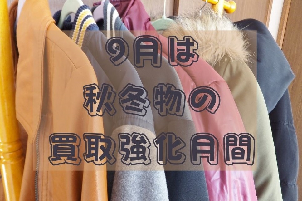 ニット/セーター定価約5万円分‼︎【美品】秋冬物まとめ売り